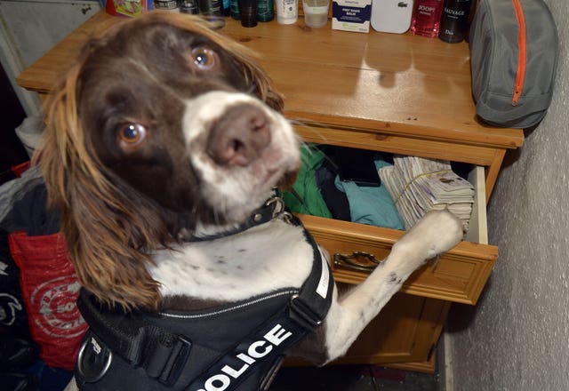 Specialist drug detection dogs have been introduced by British Transport Police