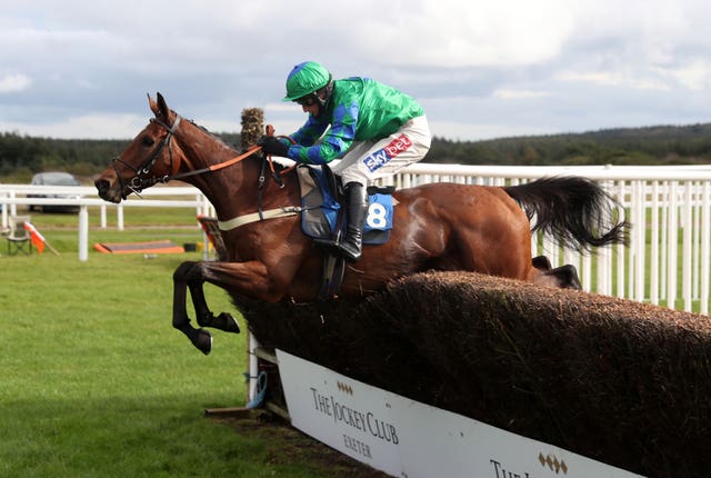 Ga Law could run in a Grand National after all - at Ayr
