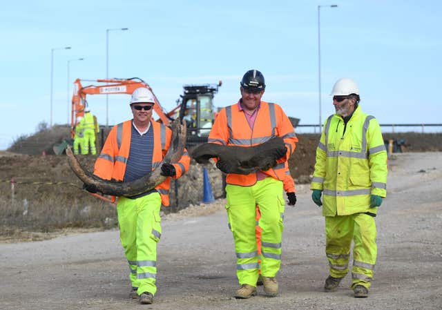 Woolly mammoth remains found on A14