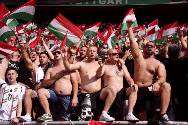 Hungary fans, with their shirts off, watch the game against Germany