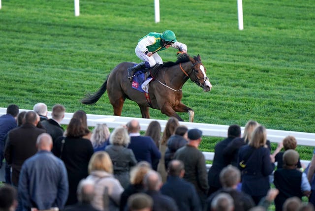 Fennor Cross in action at Cheltenham