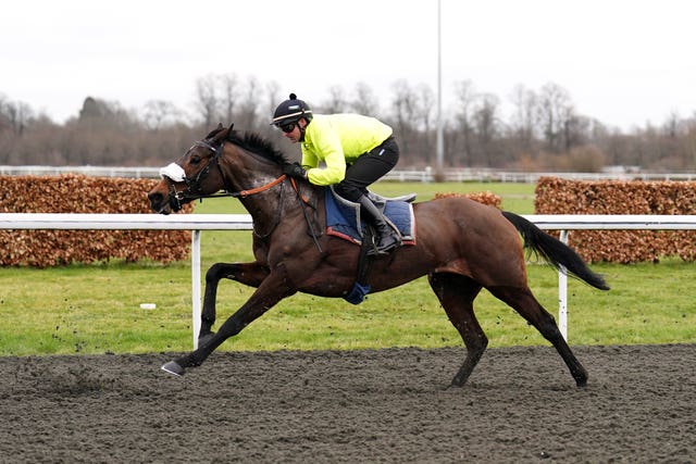 Nico de Boinville aboard Marie's Rock at Kempton