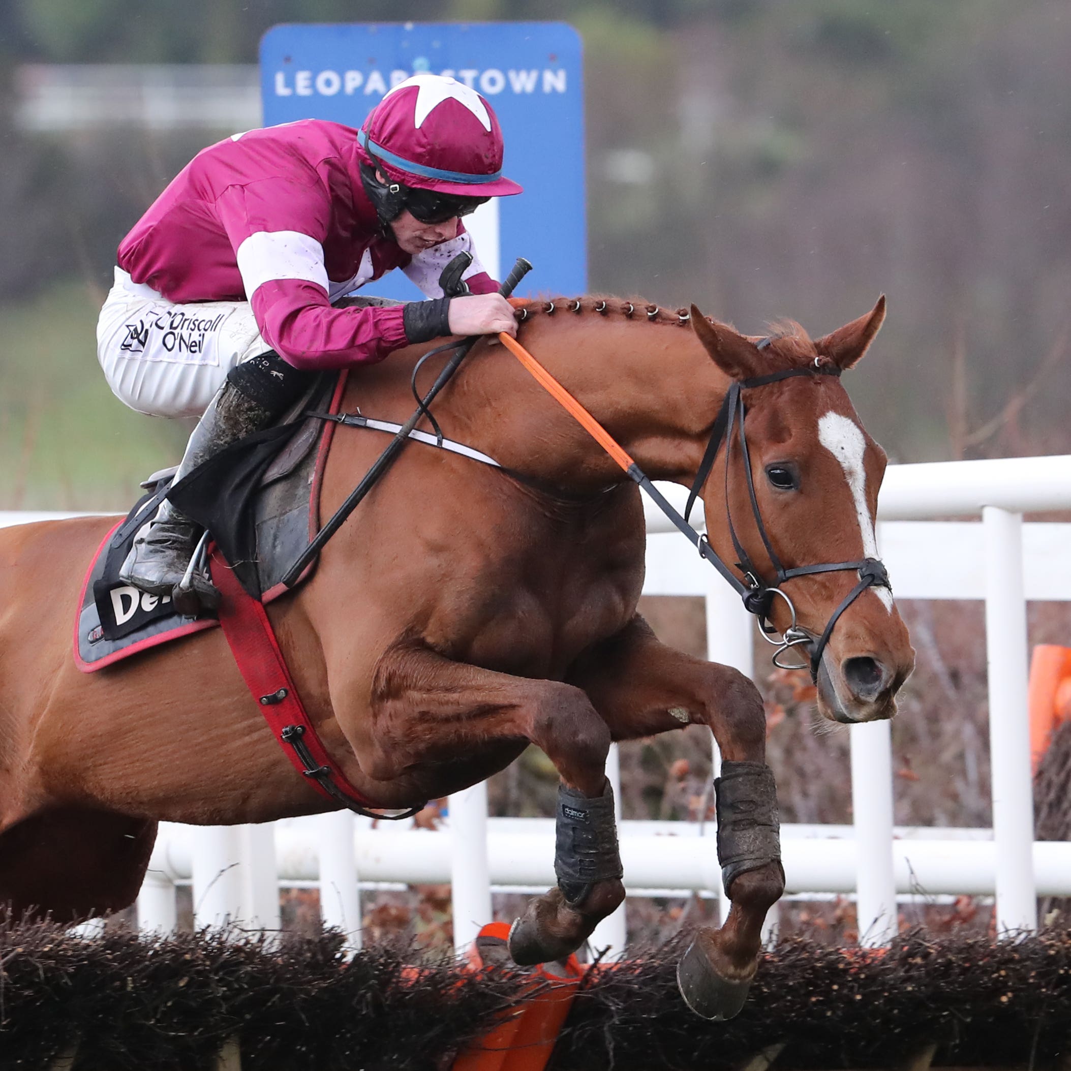 Samcro has been suffering from a lung infection