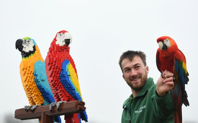 A Lego macaw sculpture at Whipsnade Zoo