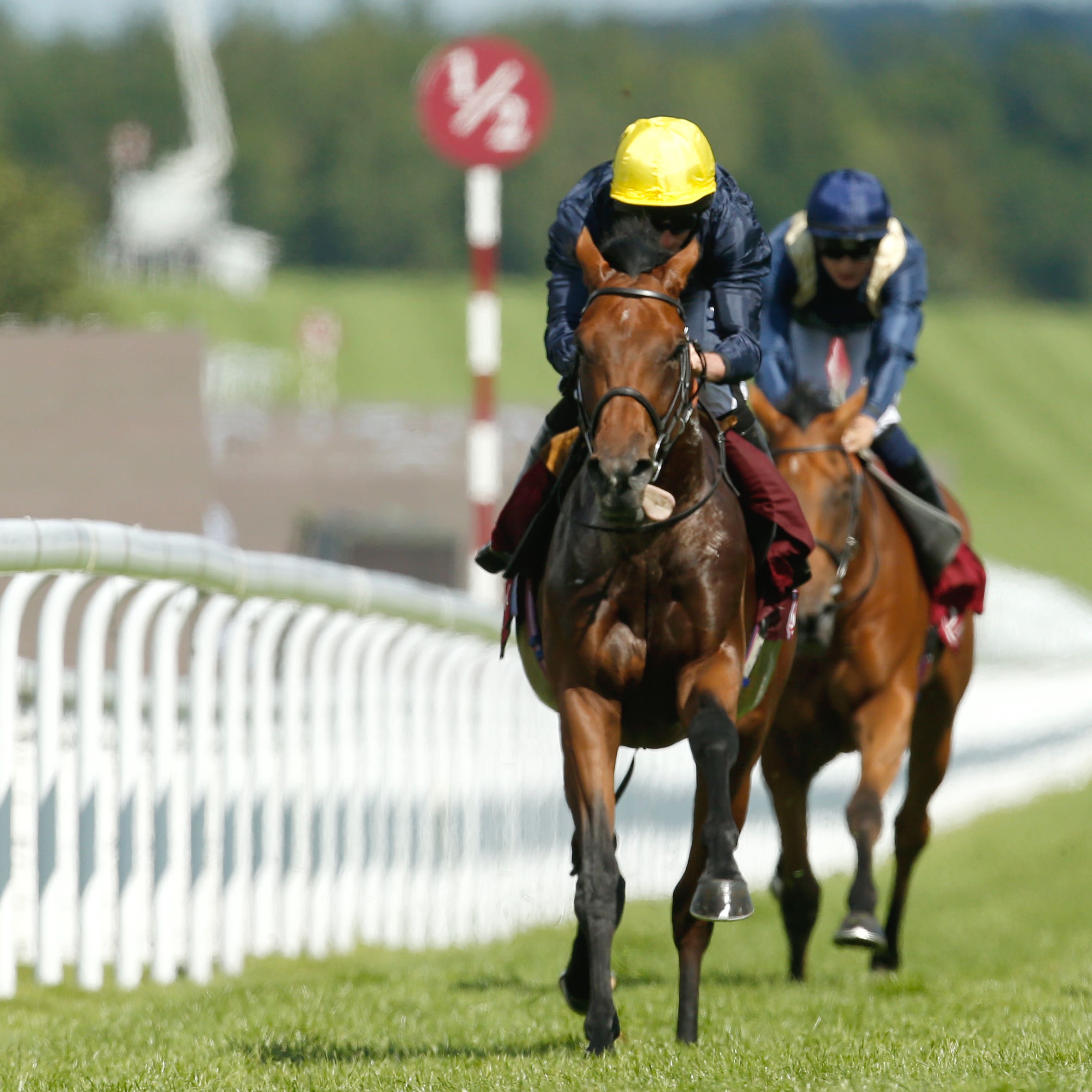Crystal Ocean (left) on his way to winning the Gordon Stakes at Goodwood last season (Paul Harding/PA)