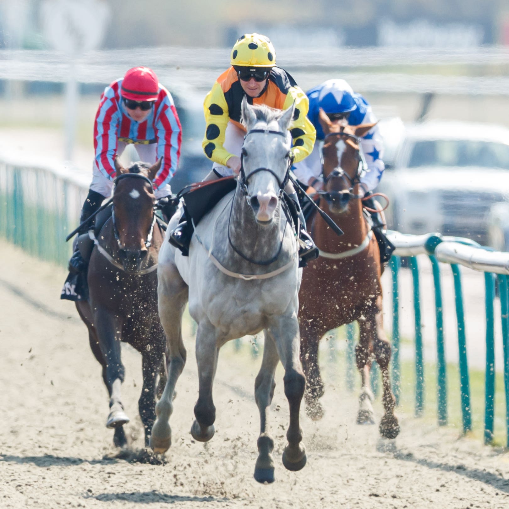 Watersmeet was too good for French raider Amade at Lingfield