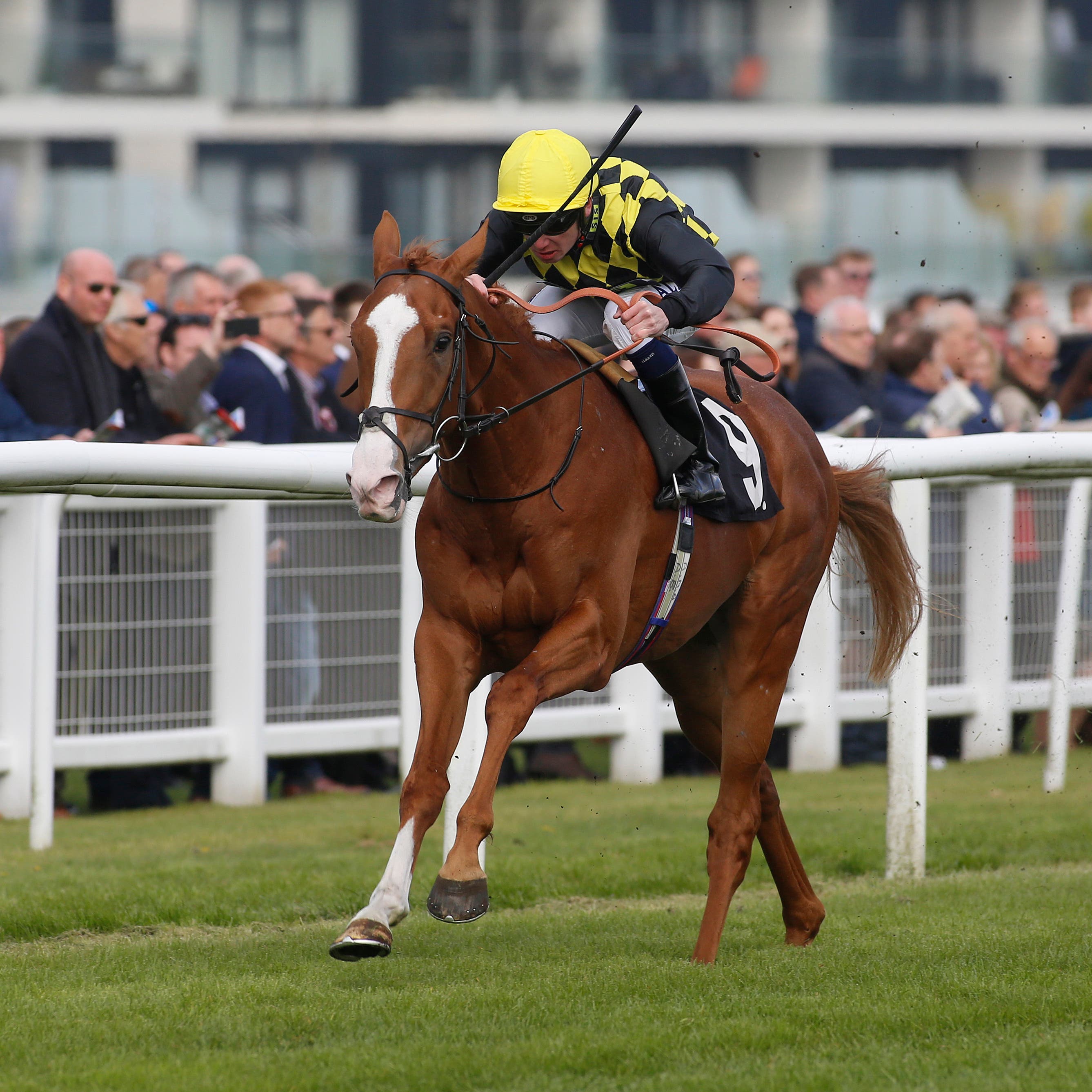 Raise You in winning action under Oisin Murphy at Newbury