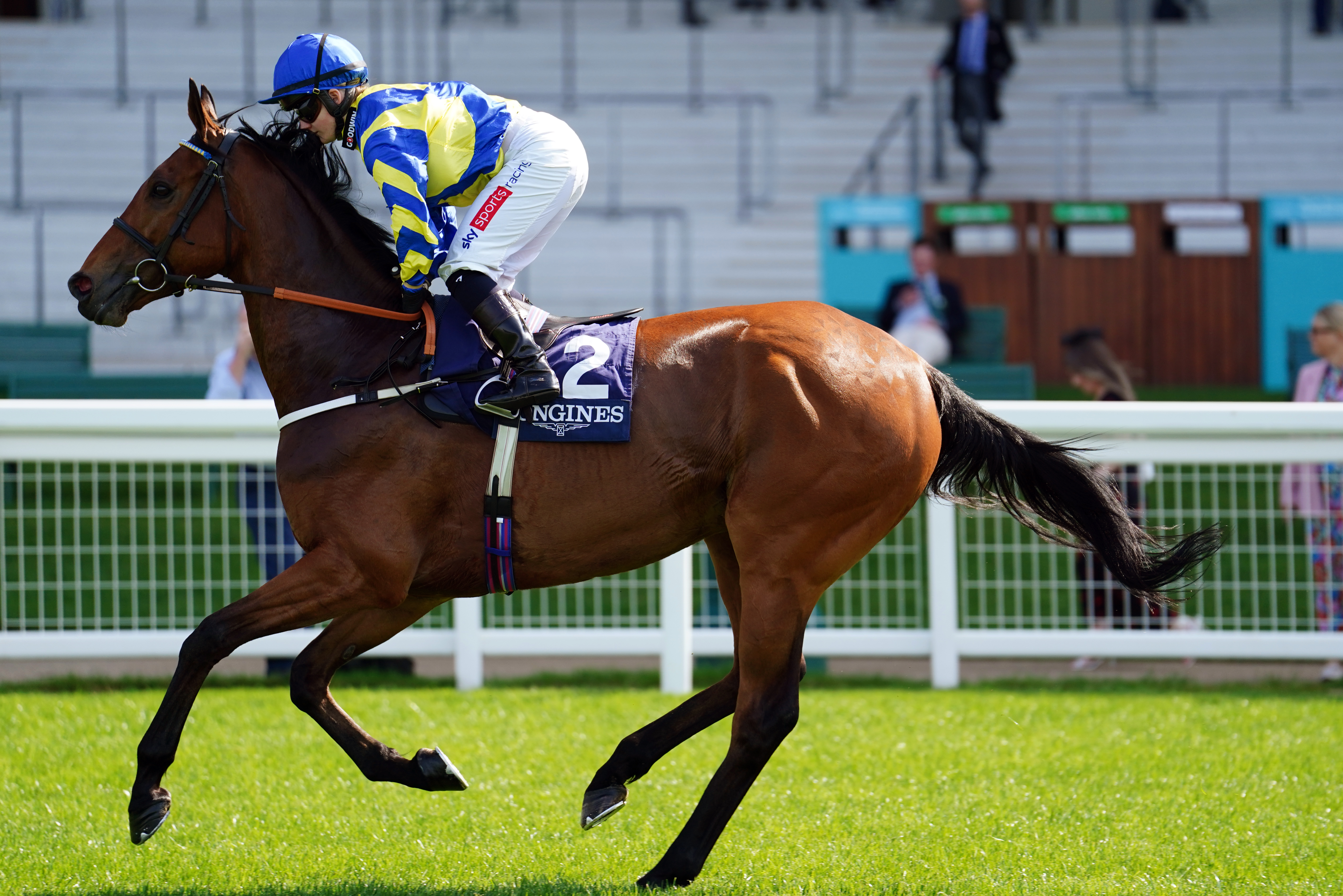 Trueshan on his way to post at Ascot