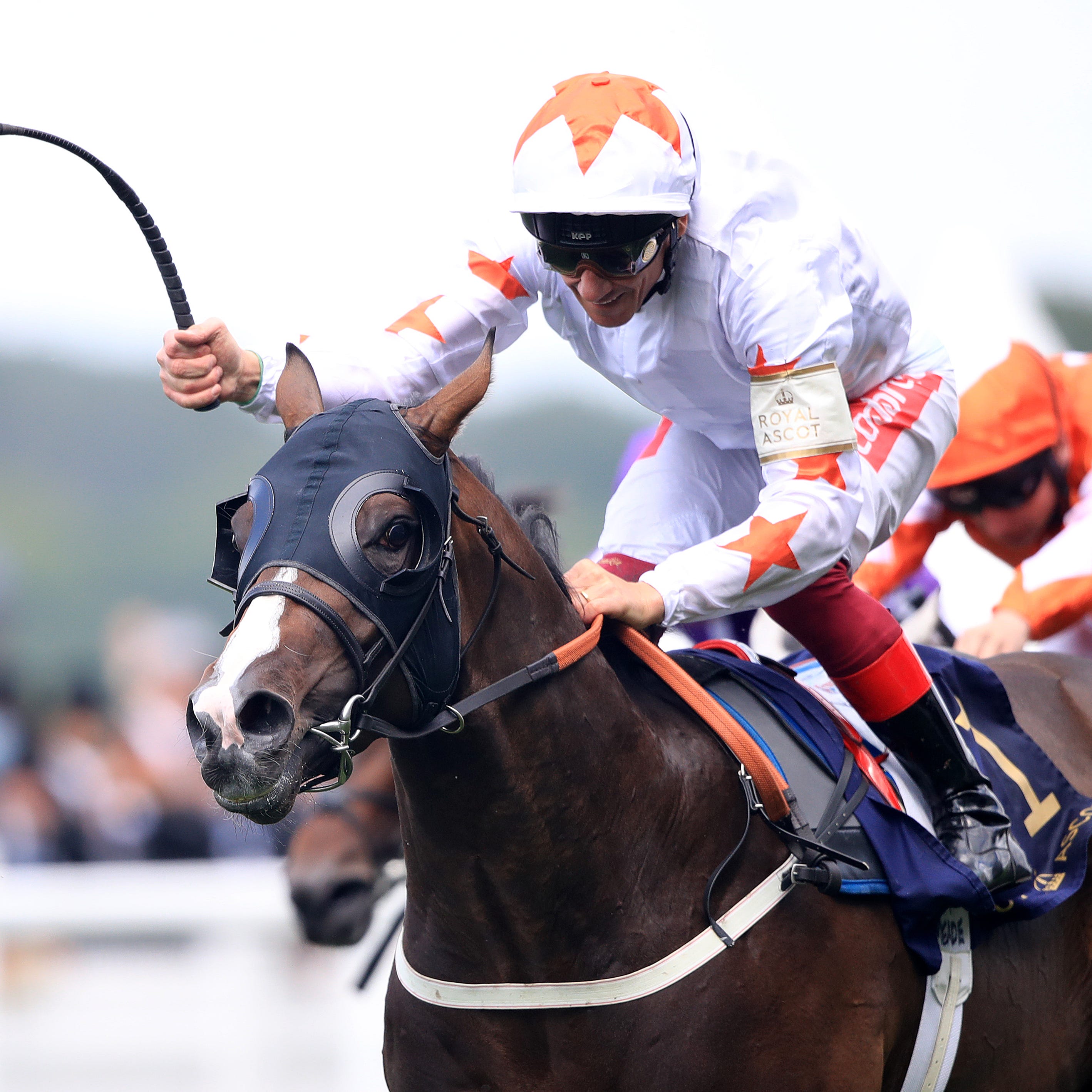 Advertise is set to run at Deauville next following his second place on the July Cup