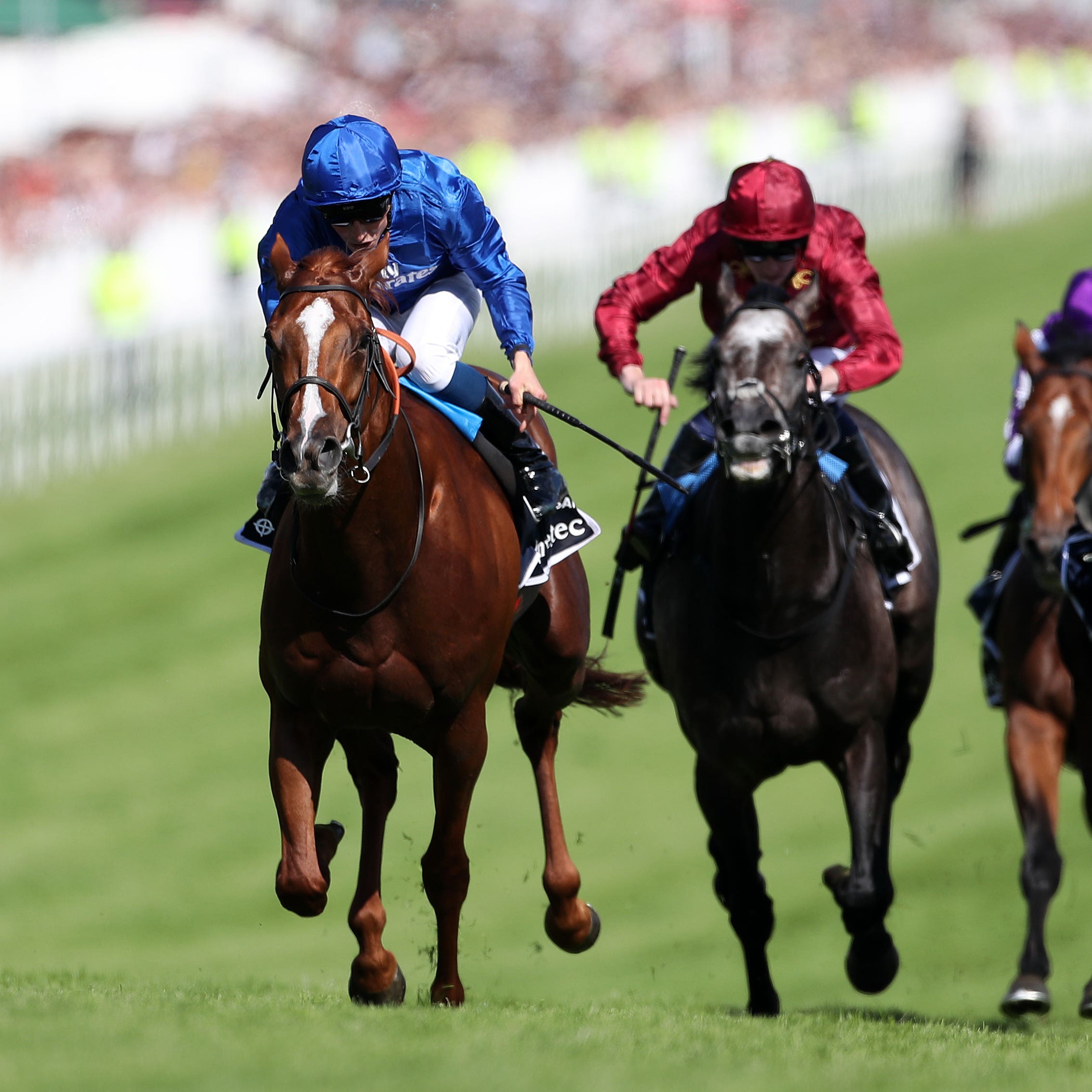 Masar's Ascot target has still not been decided