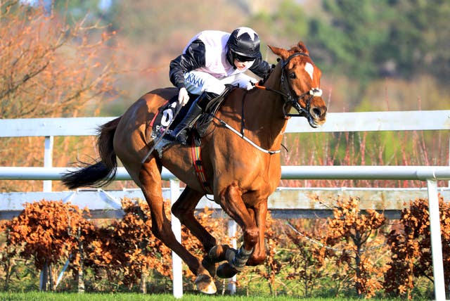 Journey With Me in action at Leopardstown