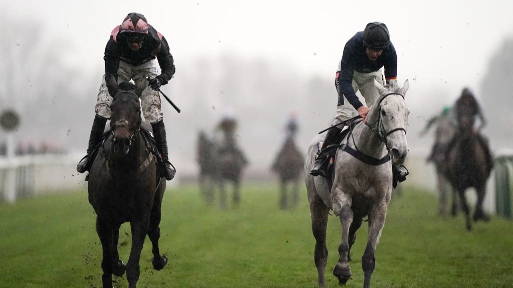 Hill Sixteen (left) has a fine record over the big Aintree fences