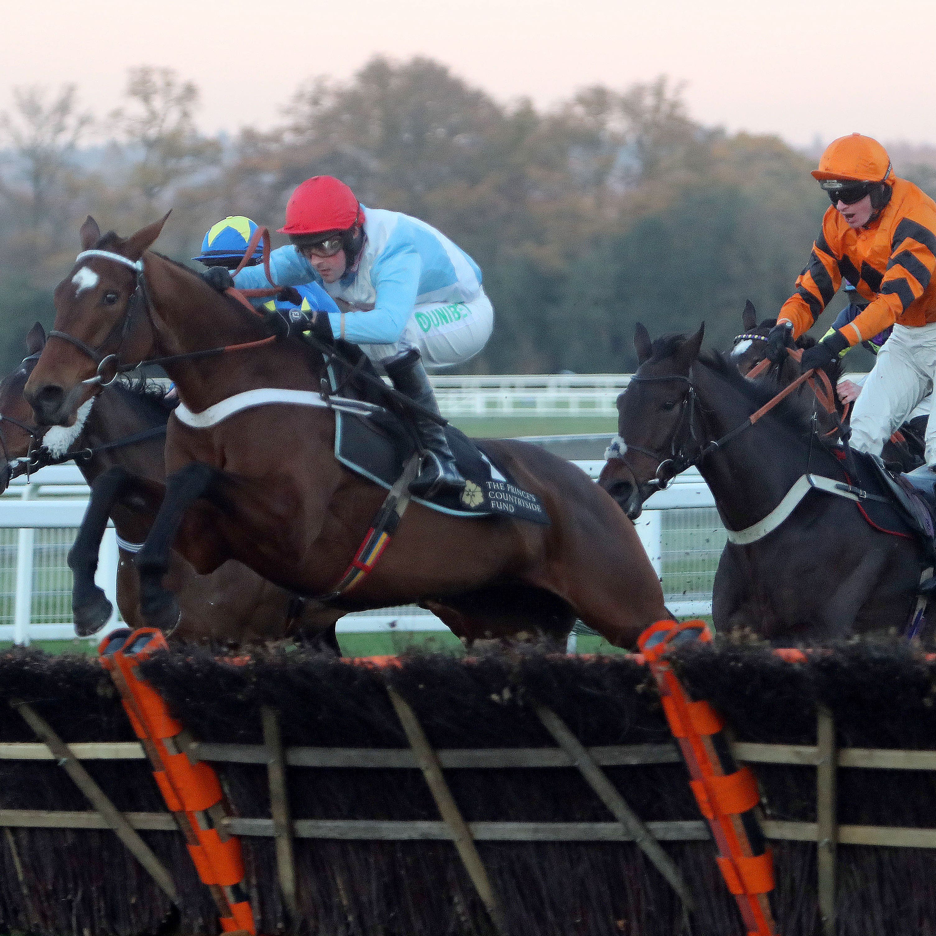 Verdana Blue (left) is one of two Nicky Henderson-trained runners in the Elite Hurdle