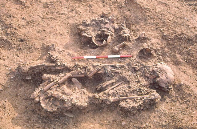 A skeleton from Windmill Fields, Stockton-on-Tees