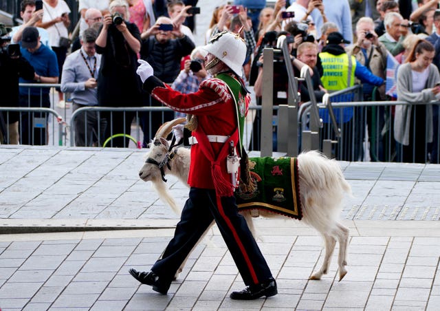 A member of the Royal Welsh Battalion leads a goat mascot outside the the Senedd in Cardiff as part of the anniversary celebrations in July 