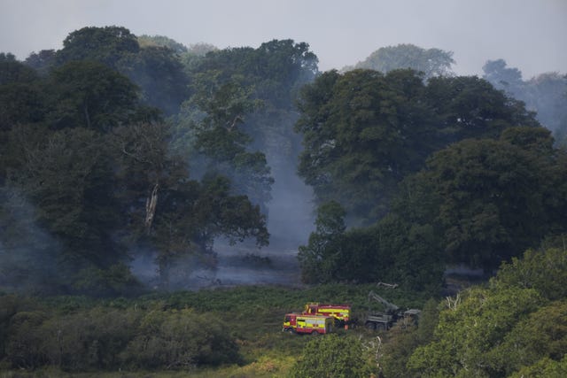 Smoke rises from a major heathland blaze in the New Forest near Ringwood in Hampshire