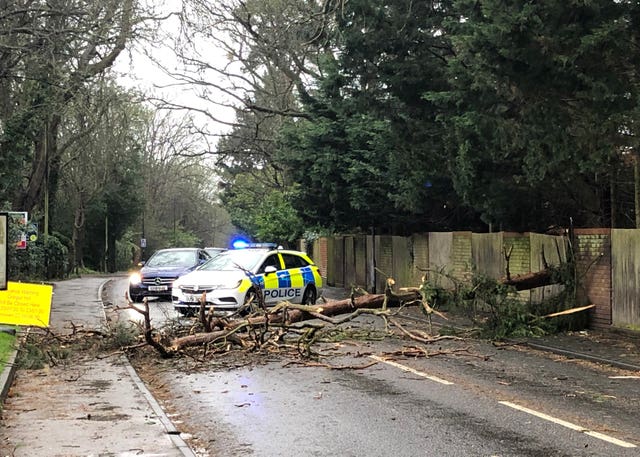 Police attend the scene of a fallen tree blocking Furze Platt Road, Maidenhead 