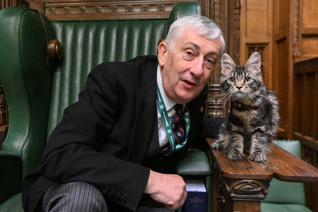 Sir Lindsay Hoyle with his new kitten