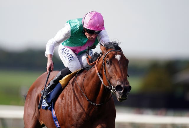 Nostrum could make his comeback 