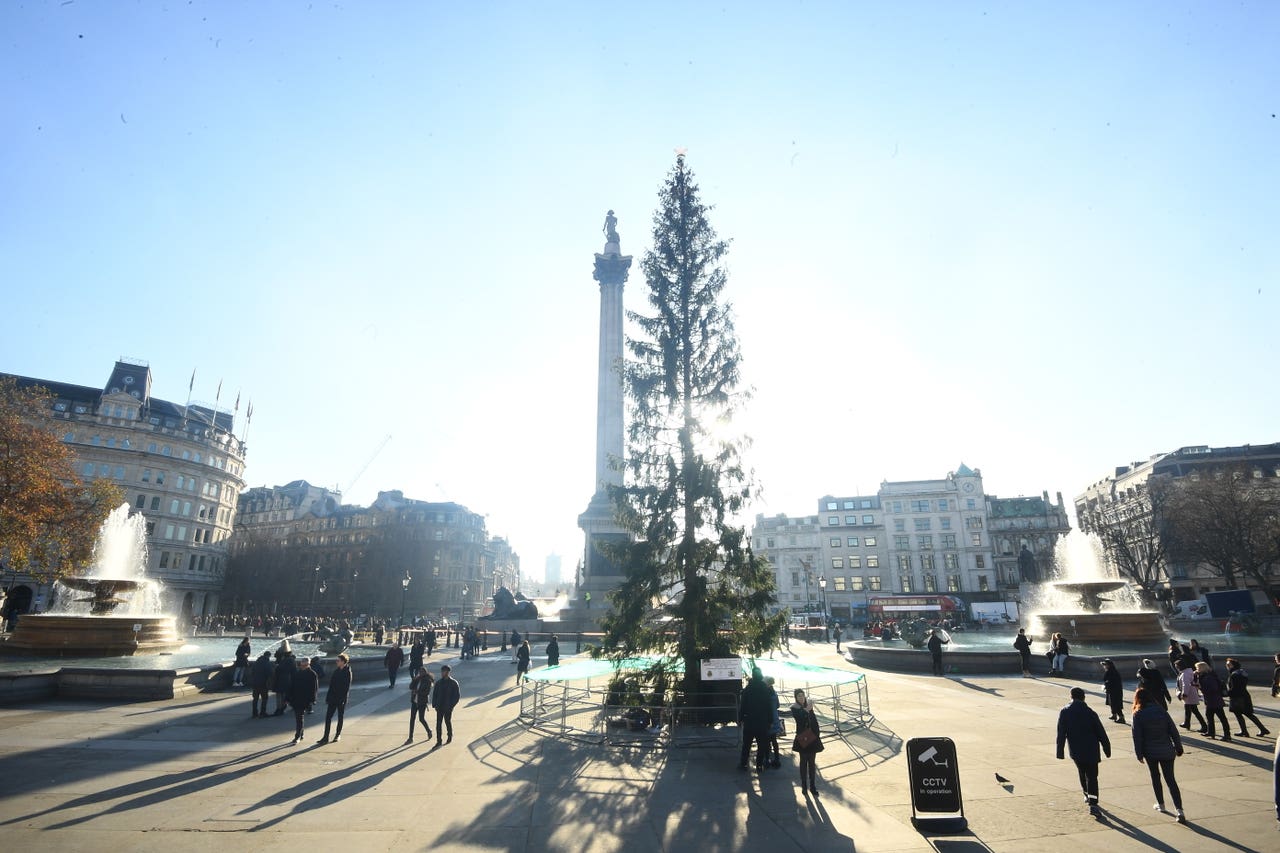 Trafalgar Square Christmas tree labelled ‘anaemic’ and ‘thin’ Jersey