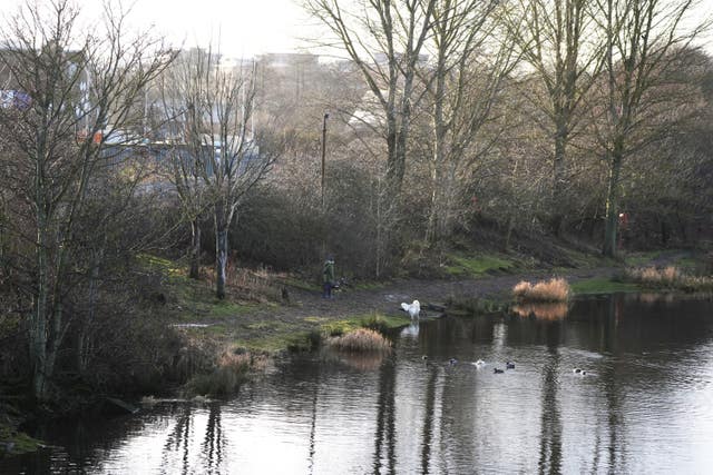 Riverside path, with trees and undergrowth