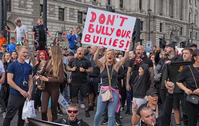 XL Bully dogs protest