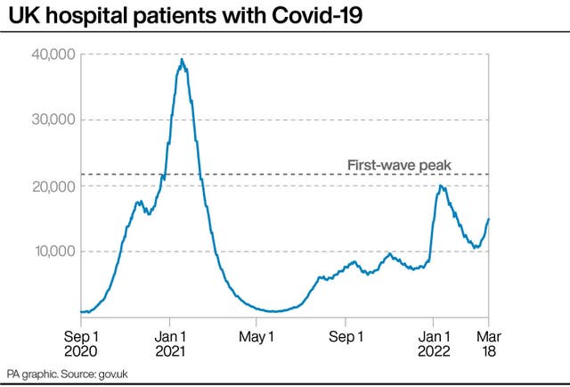 HEALTH Coronavirus Hospitals