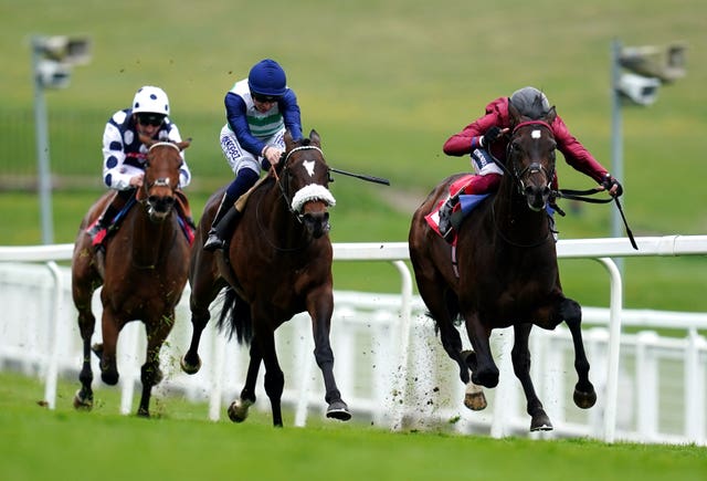 Blueberry Hill gave John Gosden a welcome winner under Frankie Dettori in the Spring Meeting Novice Stakes