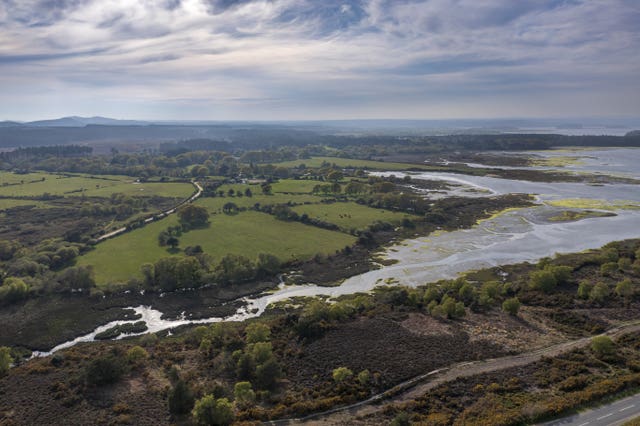 The Purbeck Heaths in Dorset 