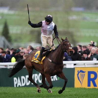 Heart Wood on course to fill big shoes at Down Royal
