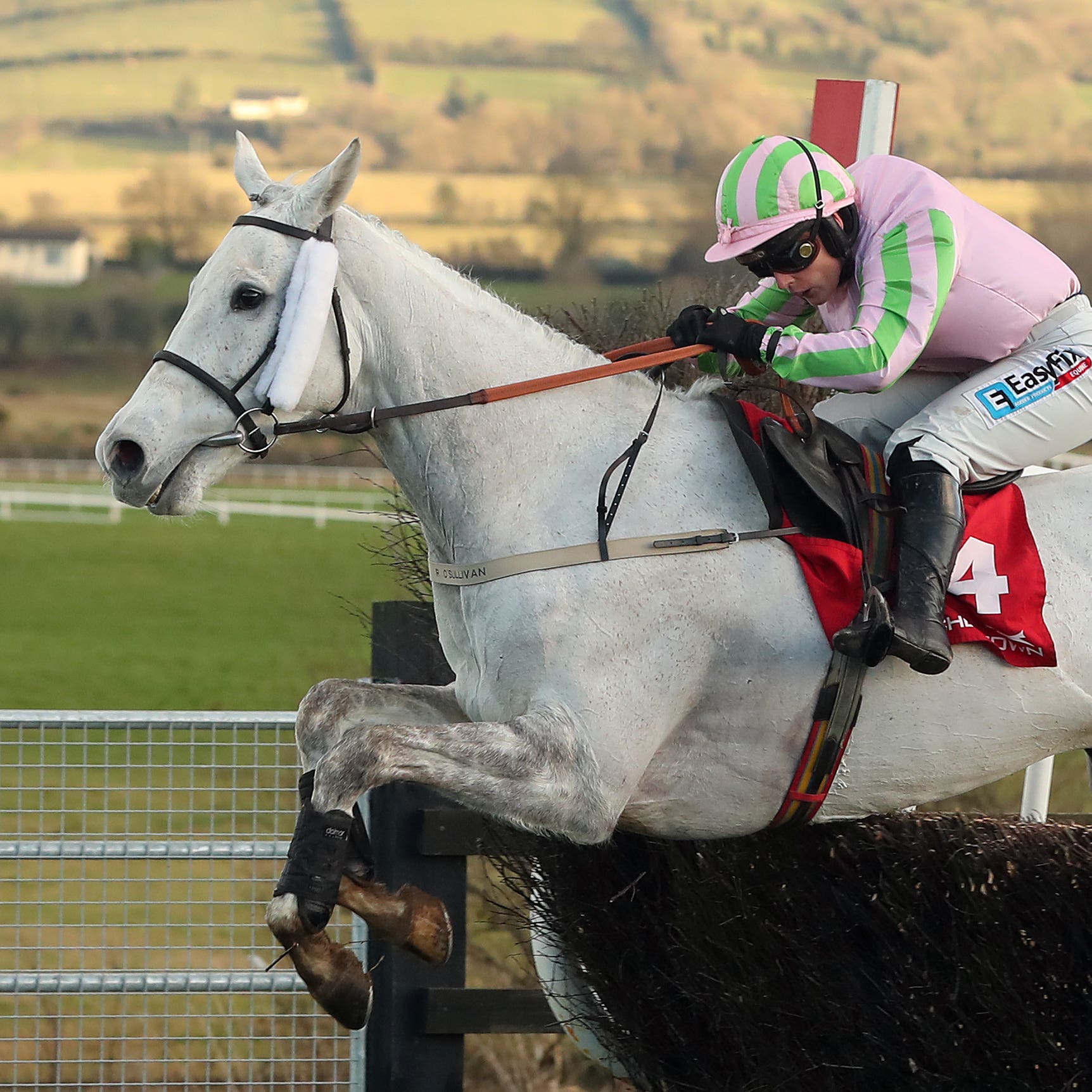 Baie Des Iles is back in action at Naas