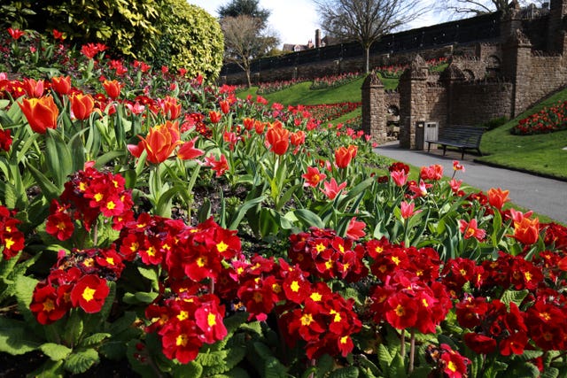 Spring flowers surround Guildford Castle in Surrey
