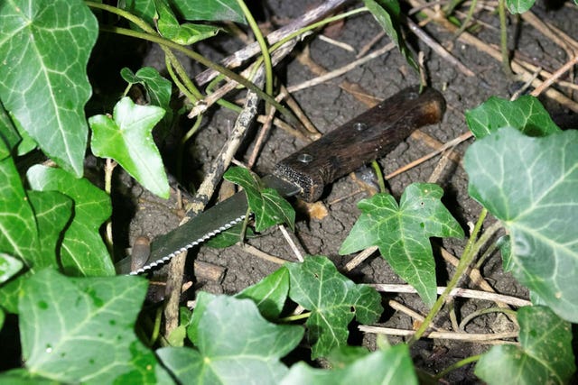 The knife used by Eugeniu Neamtu to fatally stab Gheorghe Trica