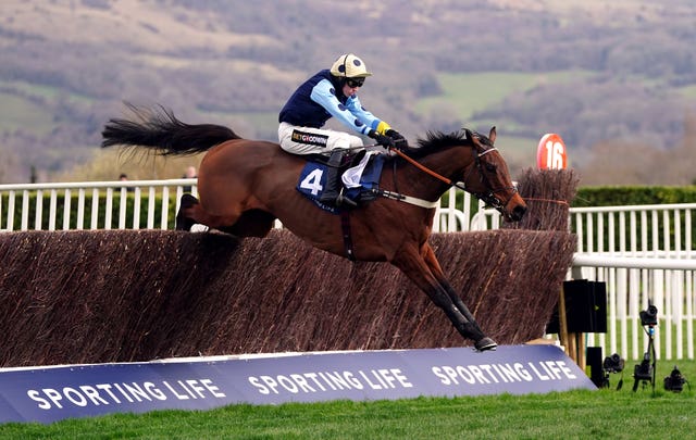 Edwardstone winning last year's Arkle at Cheltenham