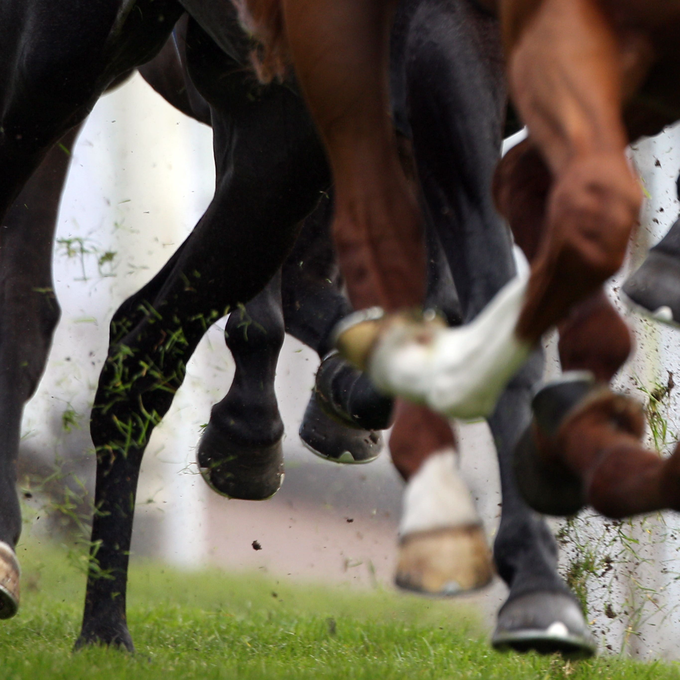 Monday's scheduled meeting at Windsor has been abandoned