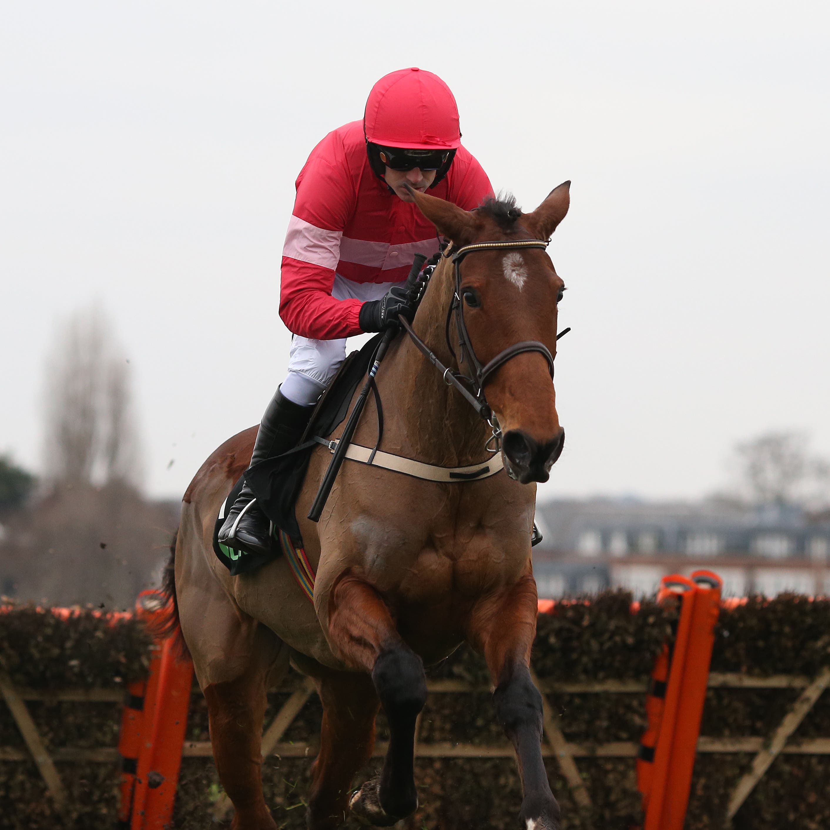 Laurina and Ruby Walsh clear the last flight before going on to win at Sandown