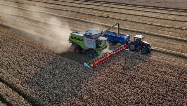 A combine harvester gathers crops during the evening sunshine on the Romney Marsh near Ashford in Kent