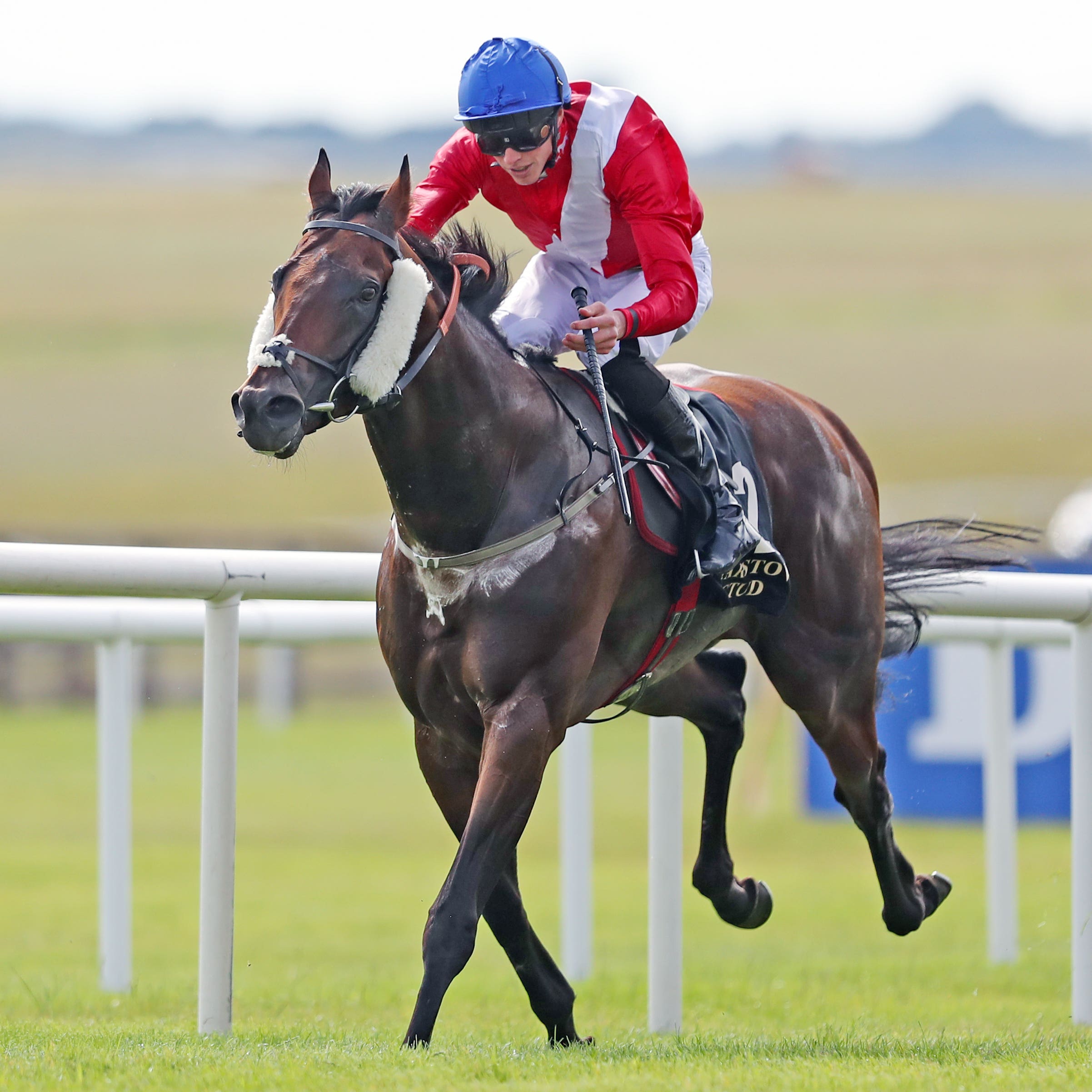 Larchmont Lad led home a one-two for David O'Meara in the Minstrel Stakes