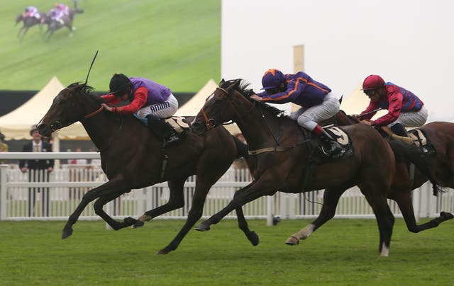 Simenon (centre) finishing second to Estimate in the Ascot Gold Cup in 2013