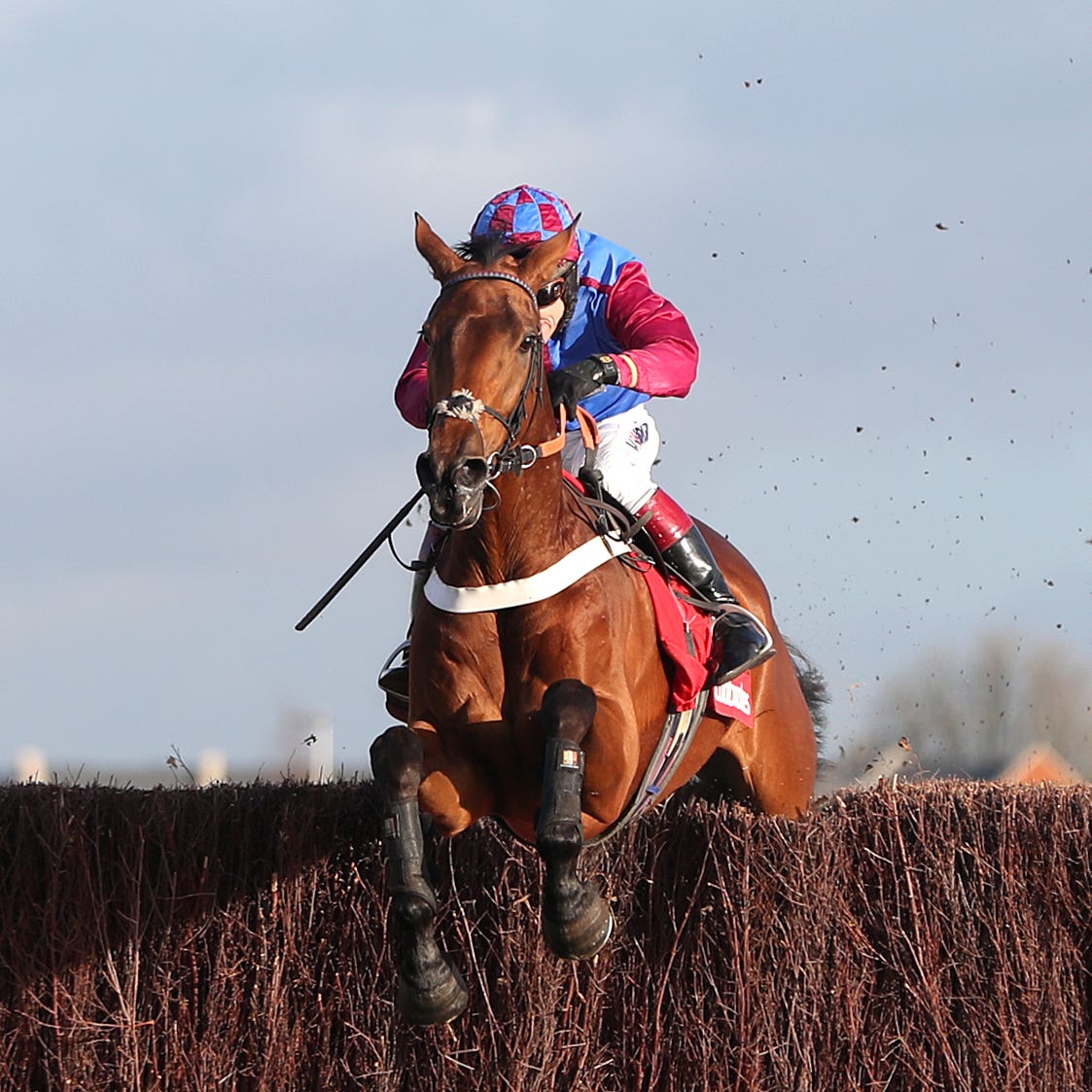 La Bague Au Roi and Richard Johnson jump the last on the way to Grade Two glory at Newbury