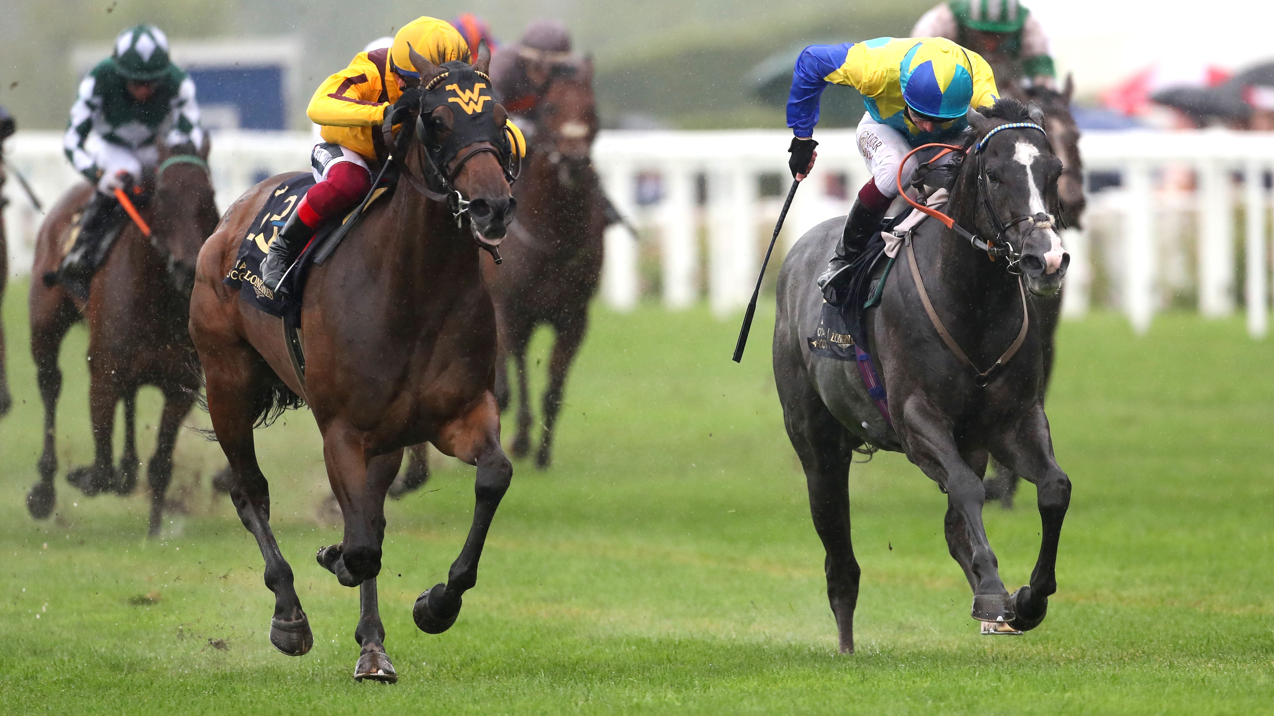 Dragon Symbol set to bypass King George Qatar Stakes - Vimarsana News