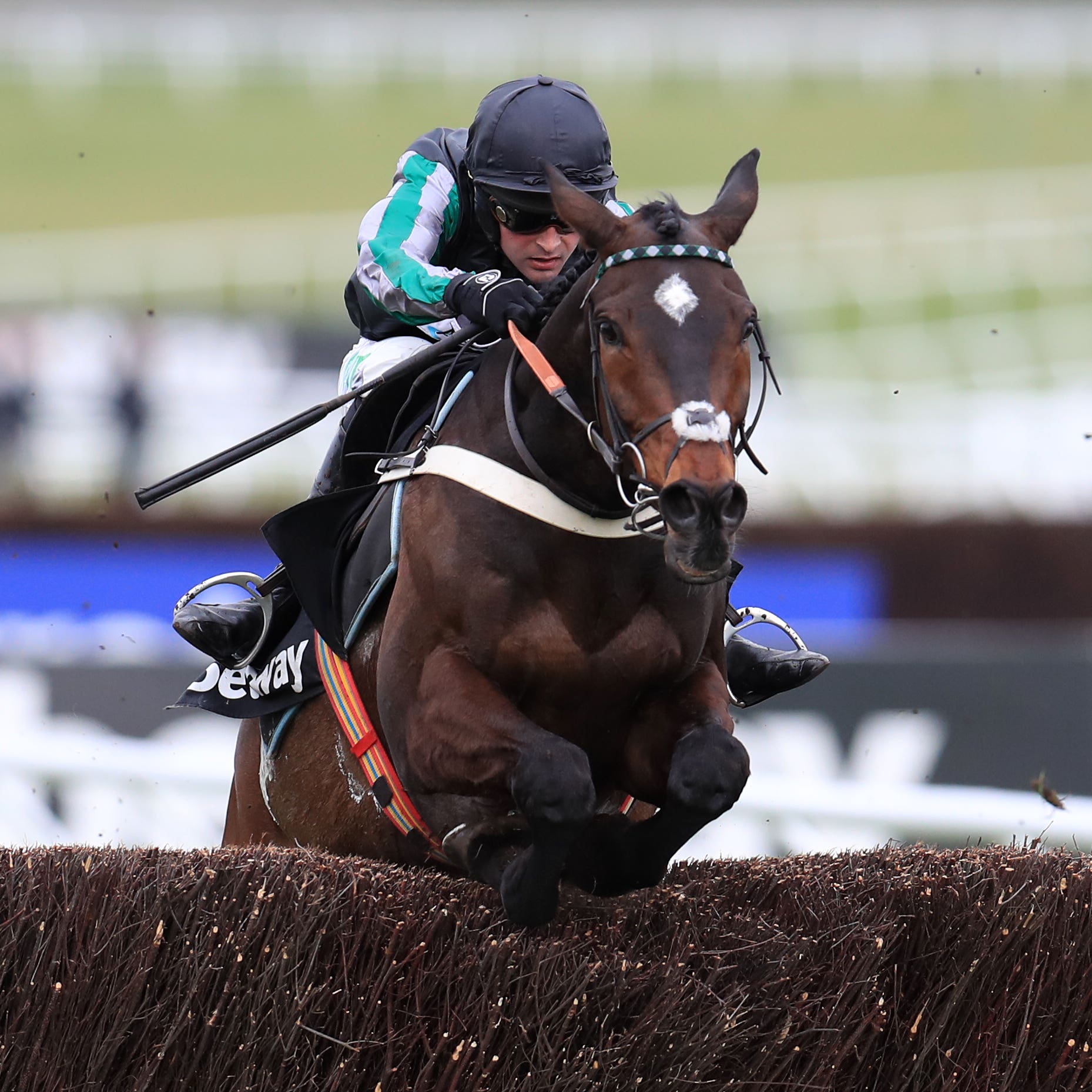Altior won last year's Champion Chase in fine style