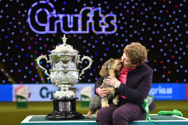 Maisie the wire-haired dachshund, winner of Best in Show at Crufts
