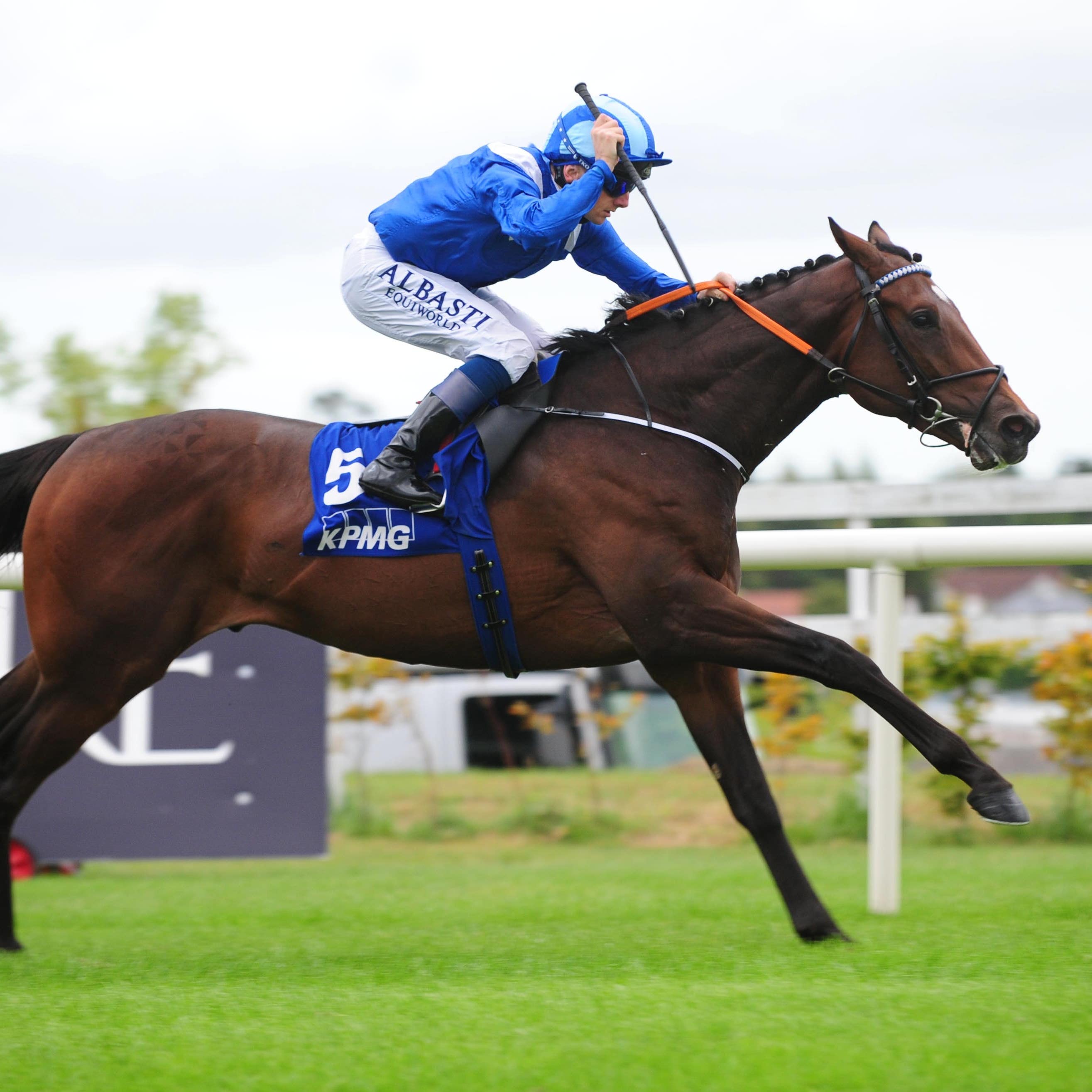 Madhmoon runs out an impressive winner at Leopardstown on Saturday