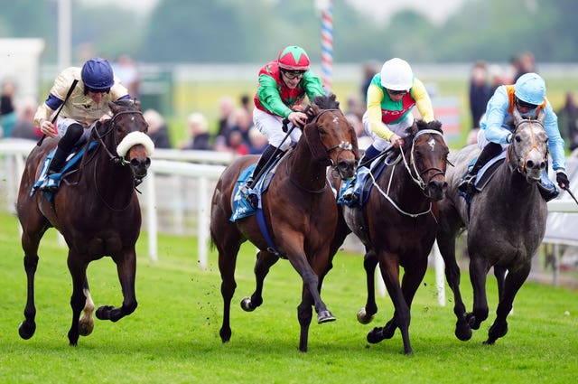 Dante Festival 2024 – Day One – York Racecourse