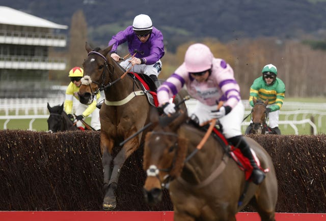 Fugitif (left) chases down Il Ridoto at Cheltenham