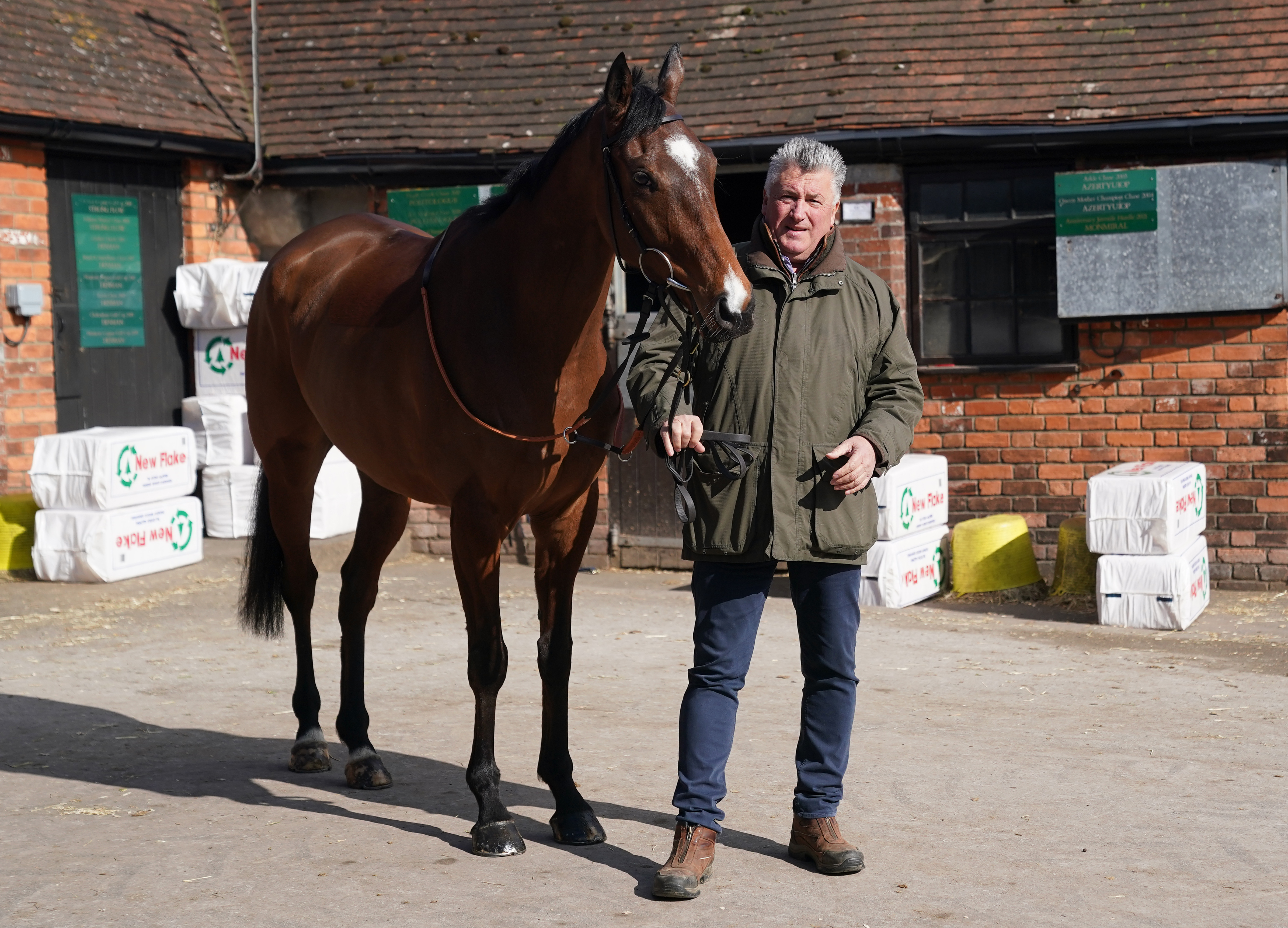 Hermes Allen is a chaser for the future, Paul Nicholls insists
