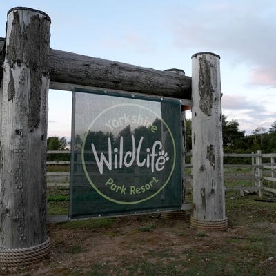 Council launches investigation after man killed by tiger at wildlife park