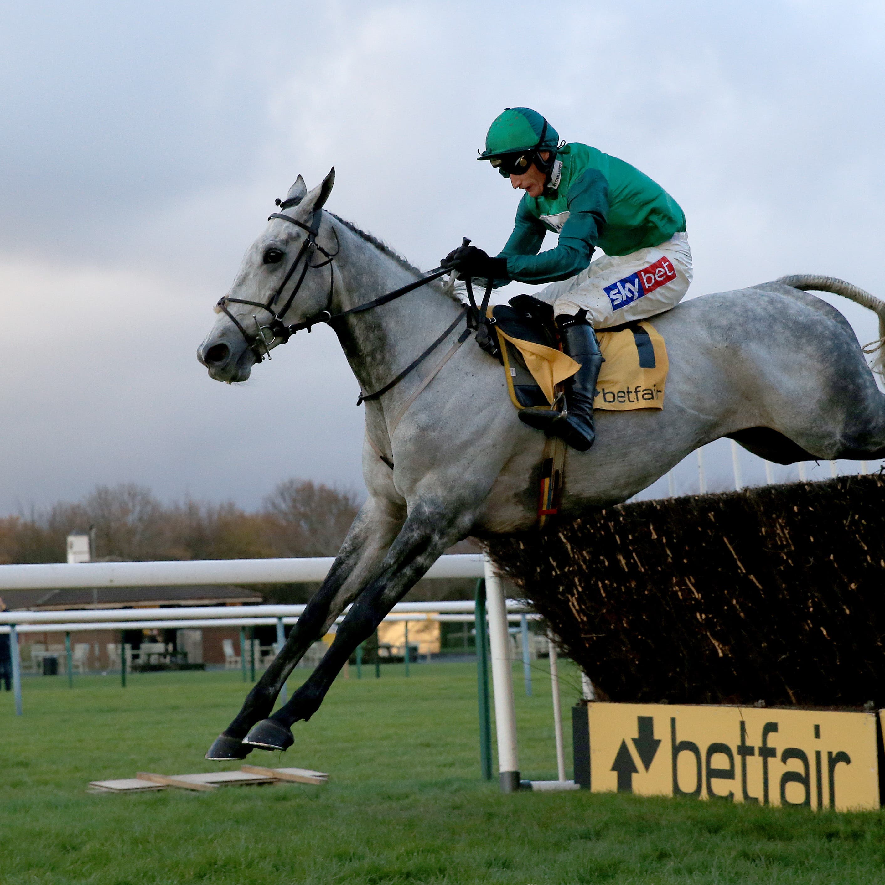 Bristol De Mai was an easy winner of the Betfair Chase last year