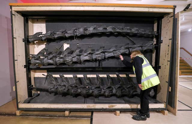 Job Vacancies At The Natural History Museum Job Vacancies At The Natural History Museum